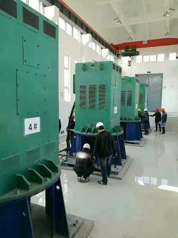 陇南某污水处理厂使用我厂的立式高压电机安装现场
